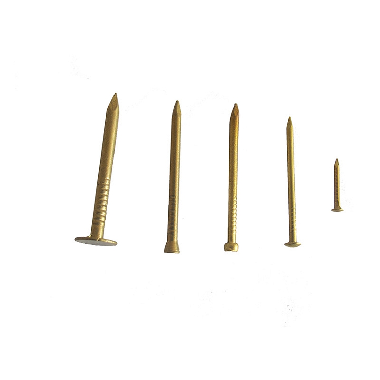 Manufacturers spot supply brass nail red copper nail round copper nail support custo